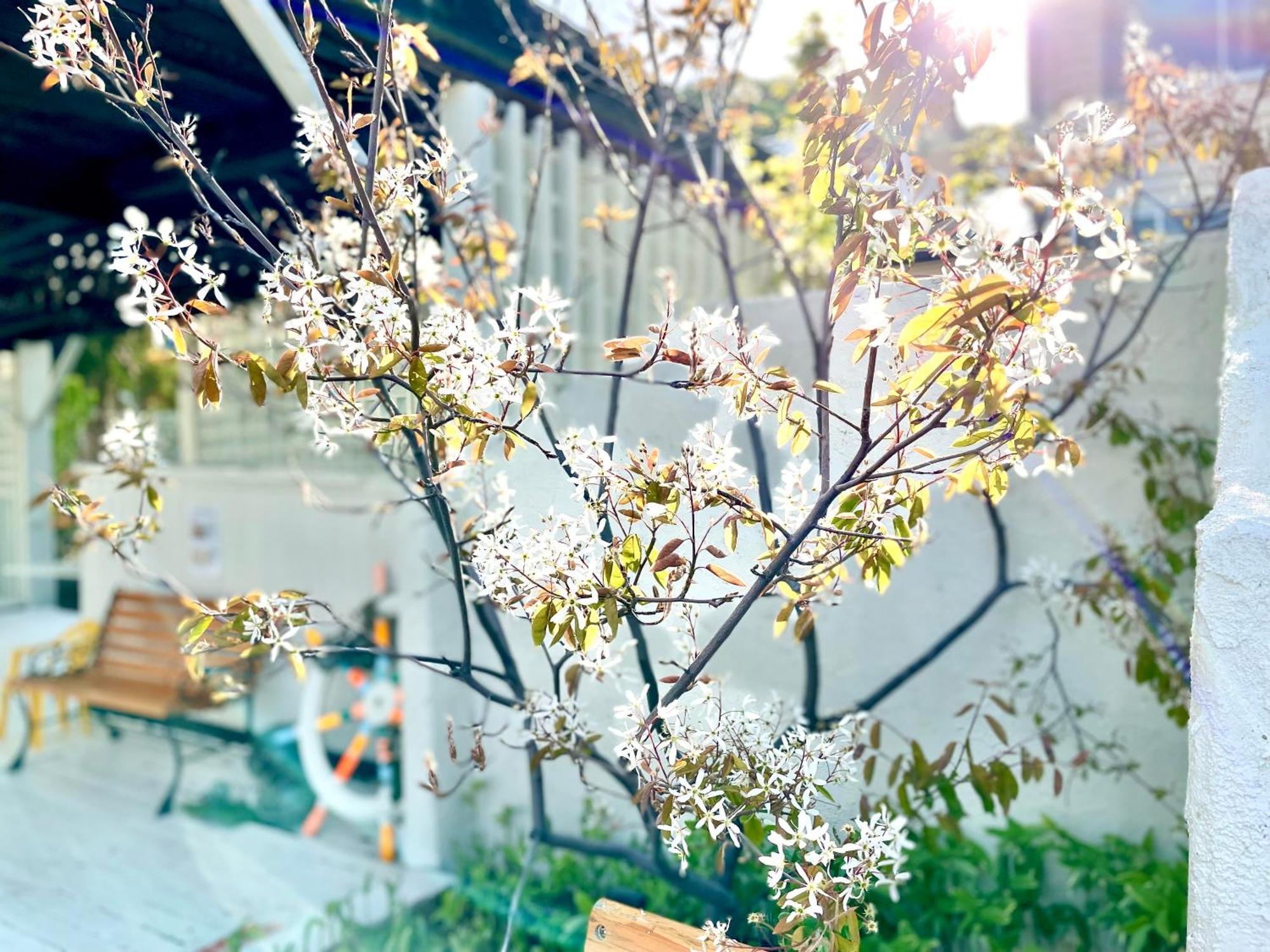 Hotel Shinsei Shakotan Zewnętrze zdjęcie